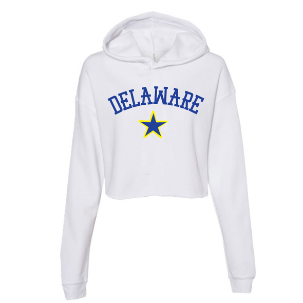 College Cropped Hoodie - Arched Star